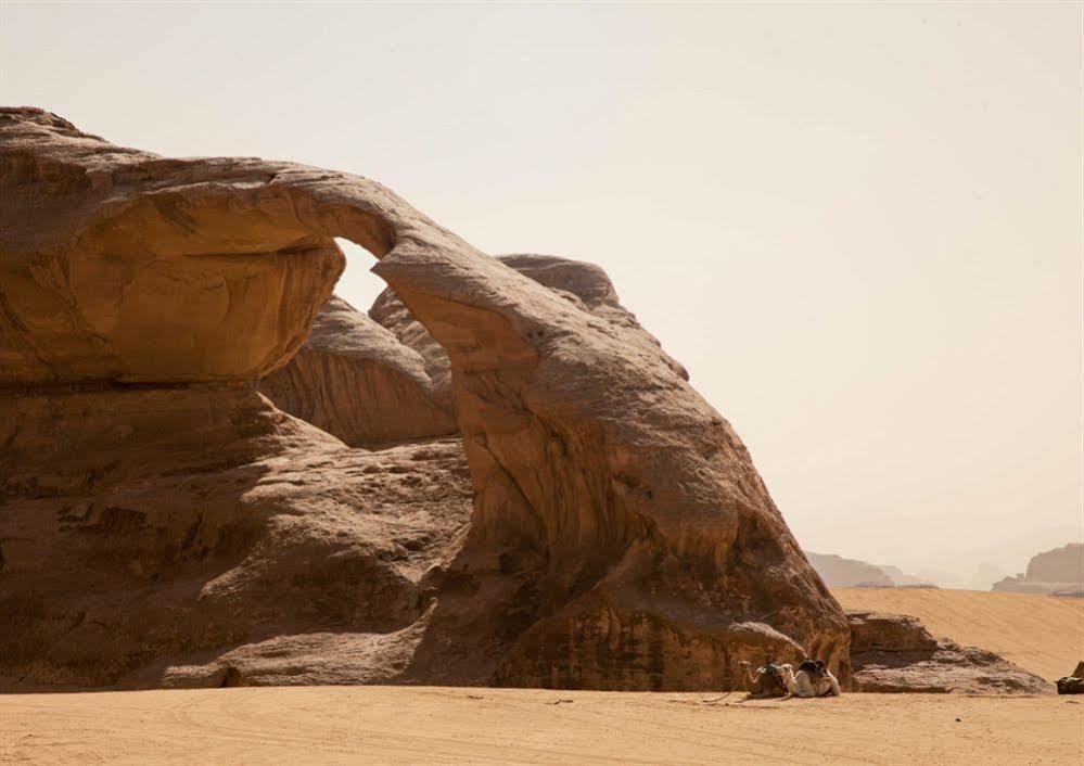 Wadi Rum Caravan Camp Εξωτερικό φωτογραφία